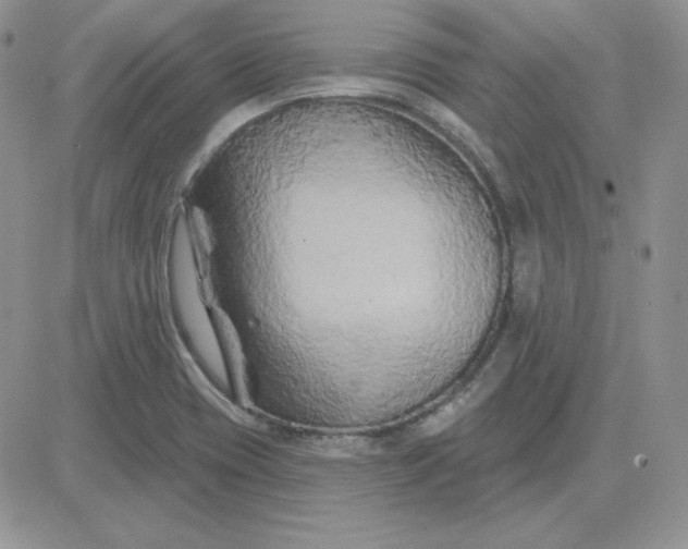 X0000081461417200701261926