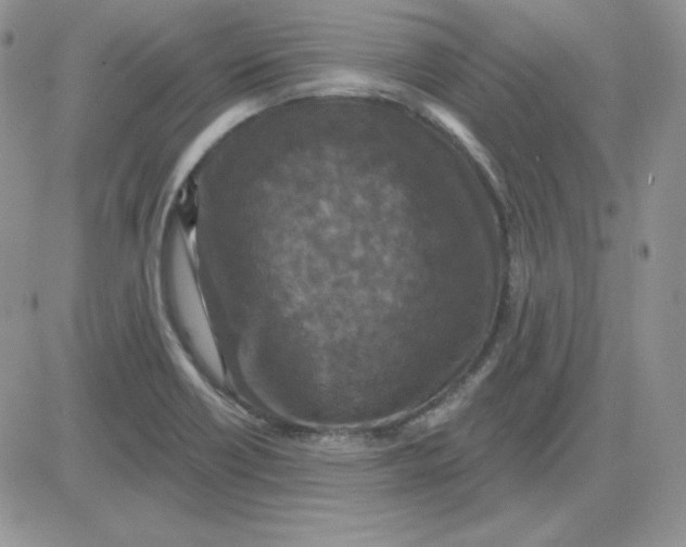 X0000081461418200701261926
