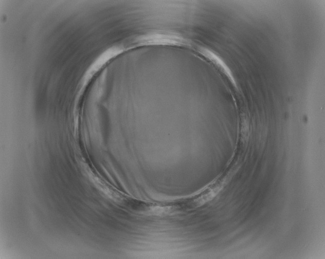 X0000081461419200701261926