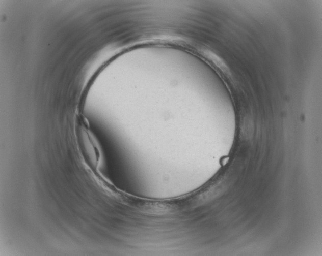 X0000081461420200701261926