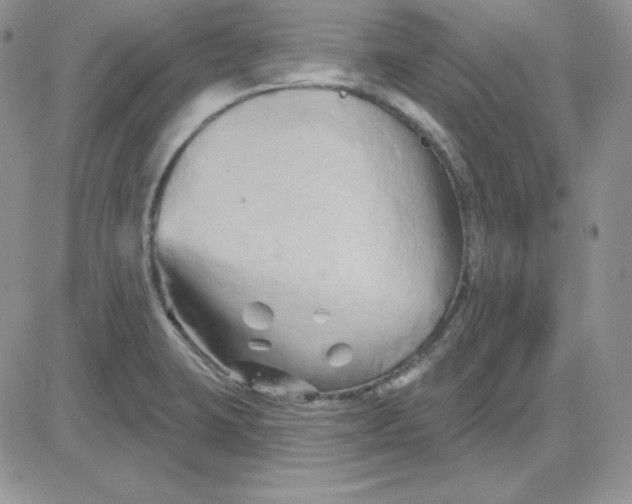 X0000081461423200701261926