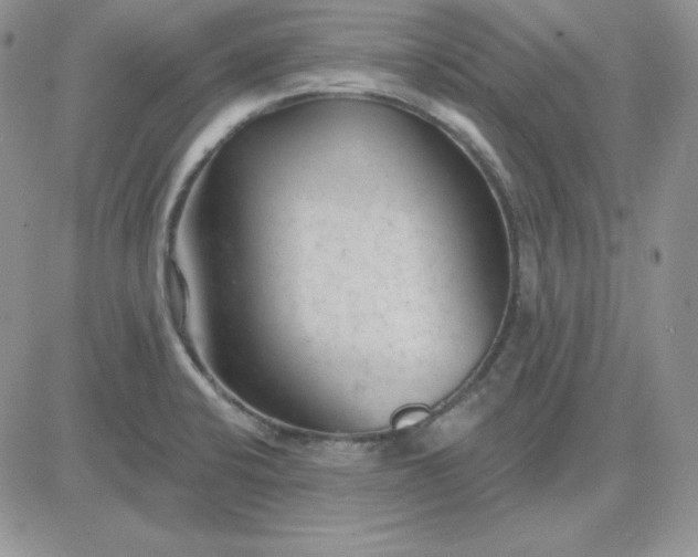 X0000081461424200701261926