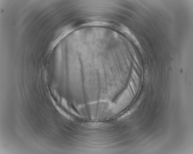 X0000081461425200701261926