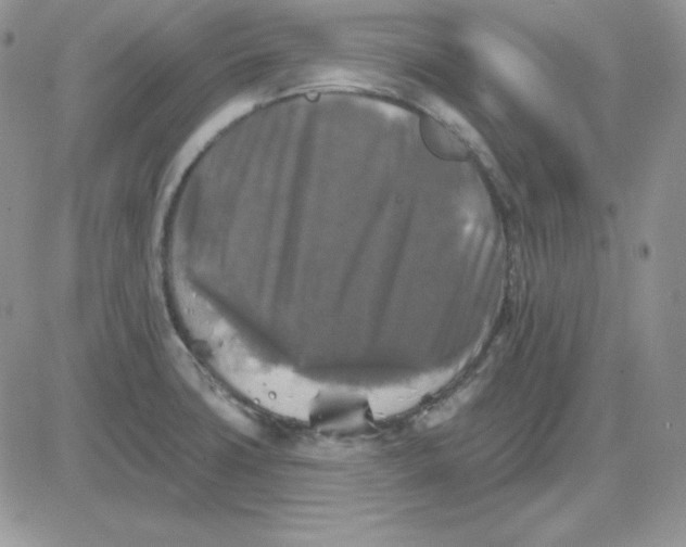 X0000081461427200701261926