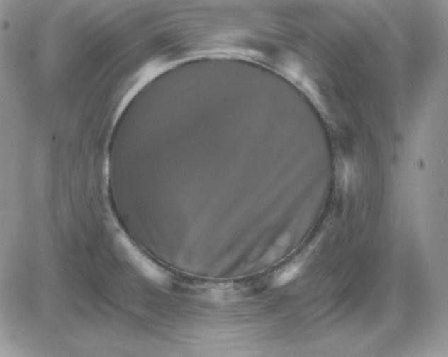 X0000081461428200701261926