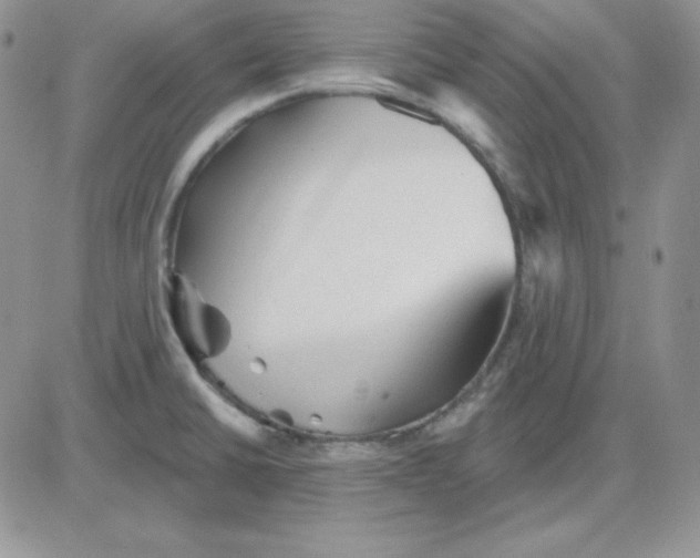 X0000081461430200701261926