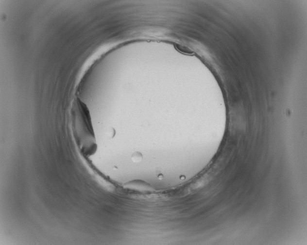 X0000081461432200701261926