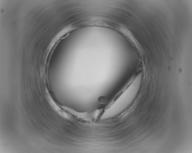 X0000081461434200701261927