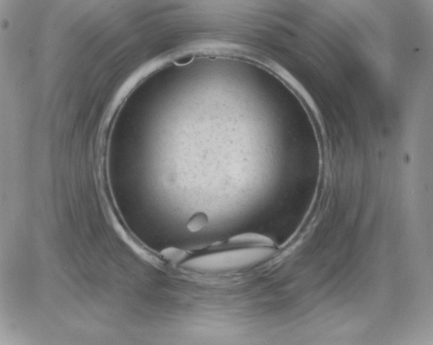 X0000081461437200701261927