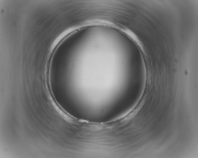 X0000081461438200701261927