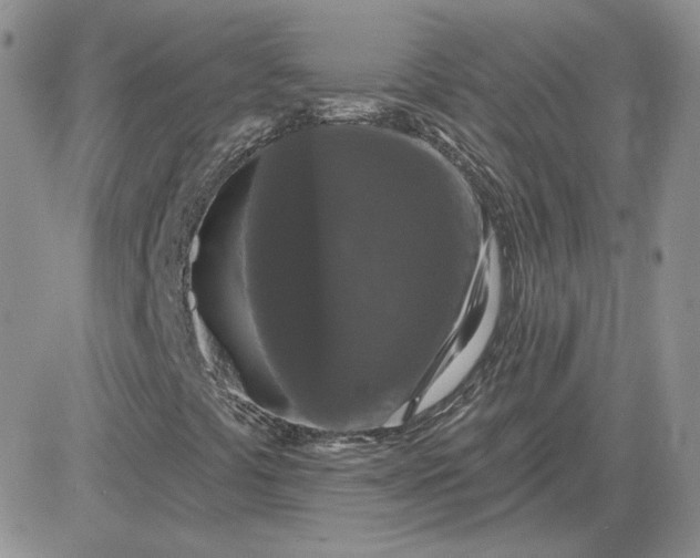 X0000081461441200701261926