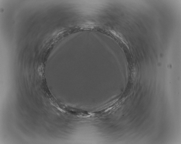 X0000081461445200701261926