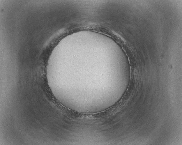 X0000081461447200701261926