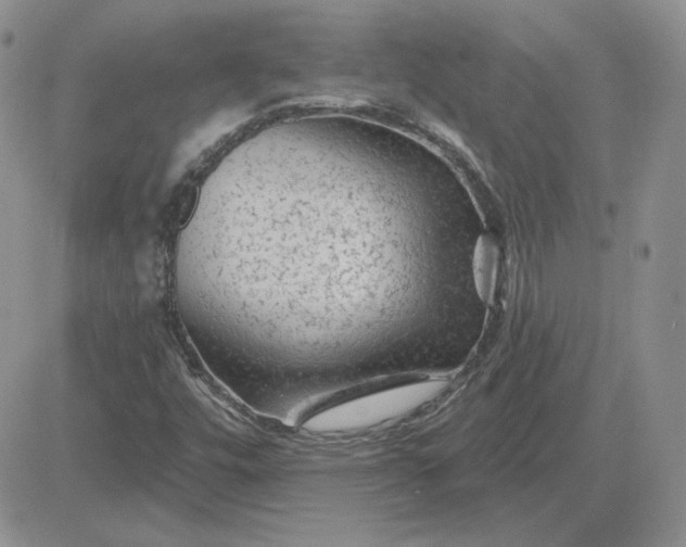 X0000081461448200701261926
