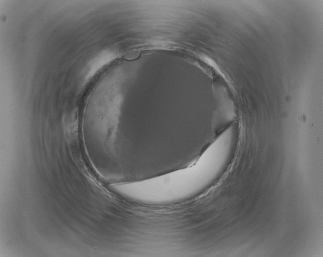 X0000081461450200701261926