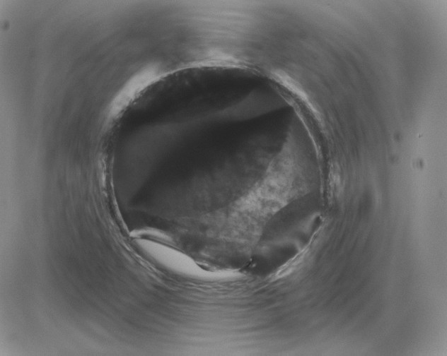 X0000081461455200701261926