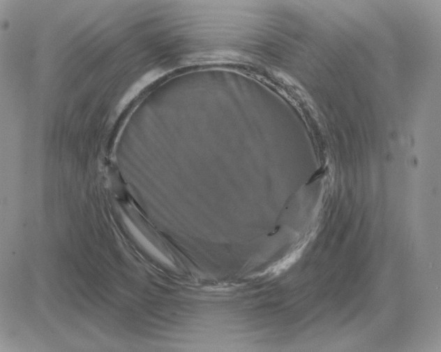 X0000081461457200701261926