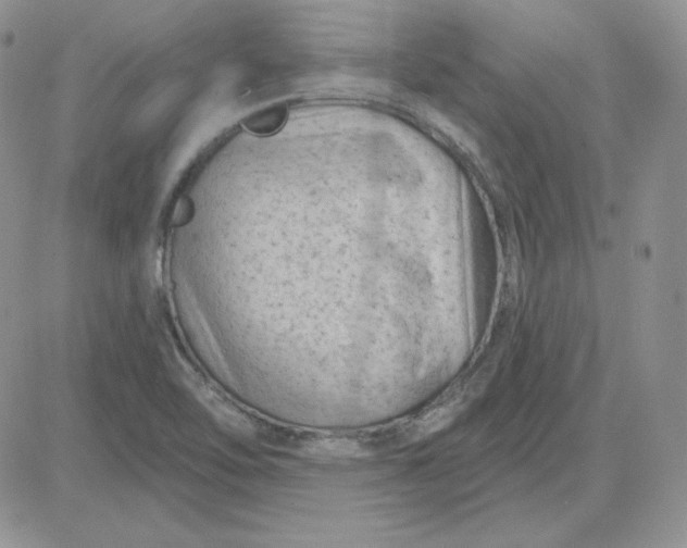 X0000081461462200701261926