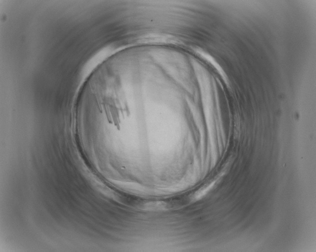X0000081461467200701261925