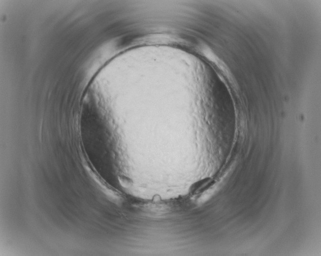 X0000081461473200701261925