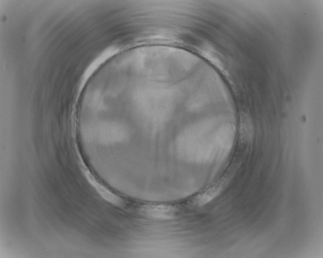 X0000081461474200701261925