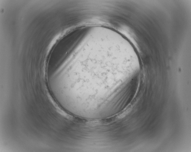 X0000081461477200701261925