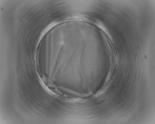 X0000081461482200701261925
