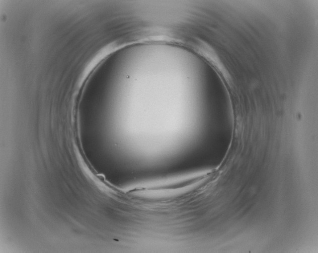 X0000081461483200701261925