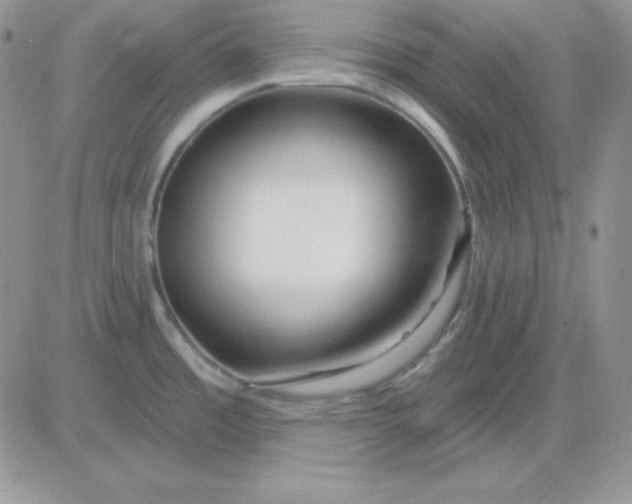 X0000081461485200701261925
