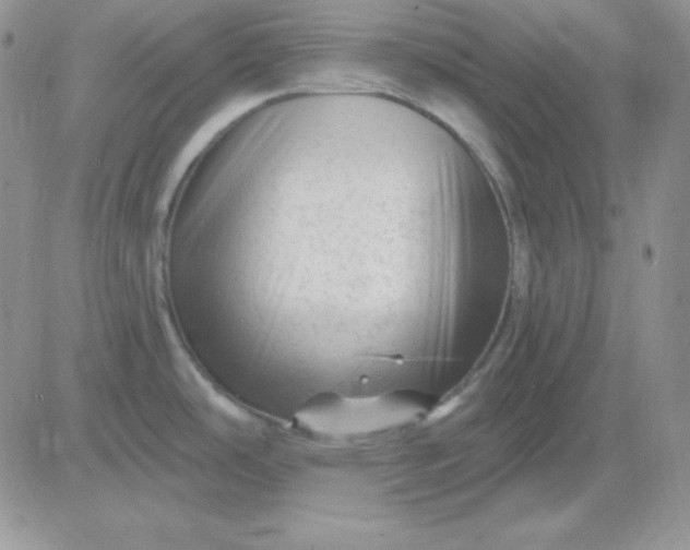 X0000081461486200701261925