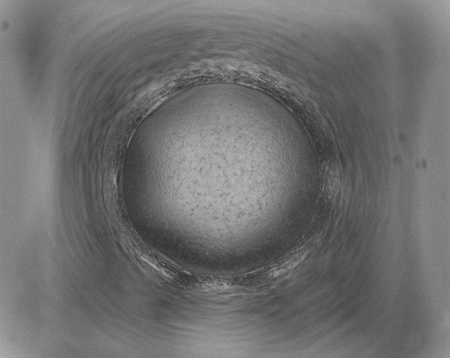 X0000081461489200701261924
