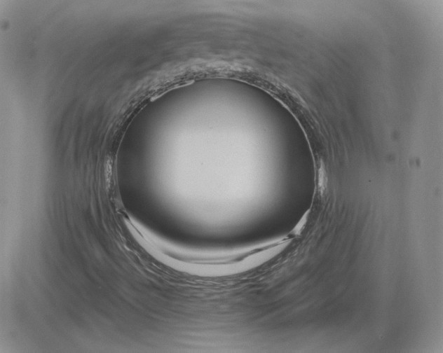 X0000081461492200701261924