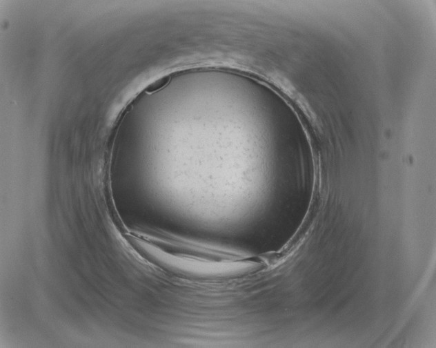X0000081461500200701261924