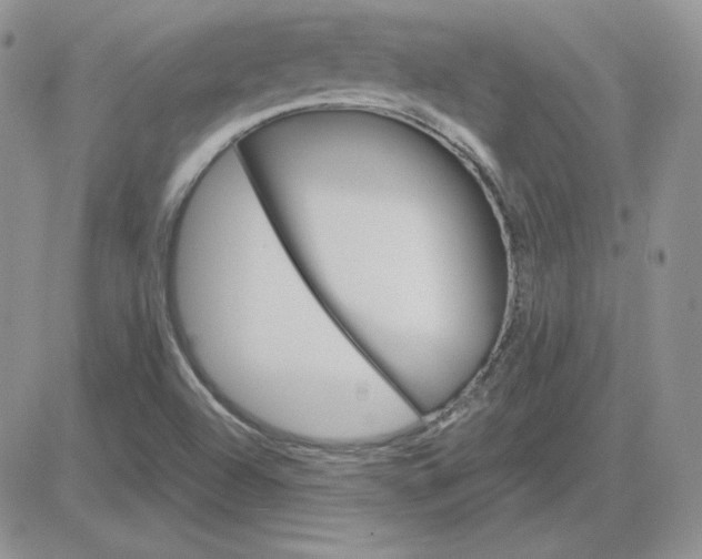 X0000081461504200701261925