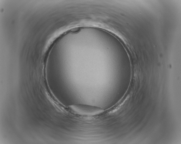 X0000081461507200701261925