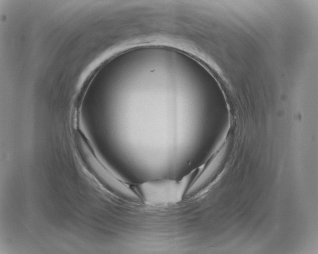 X0000081461510200701261925