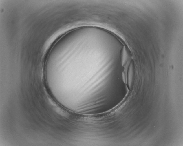 X0000081461511200701261925