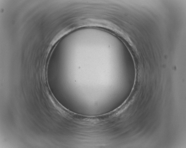 X0000081461513200701261925