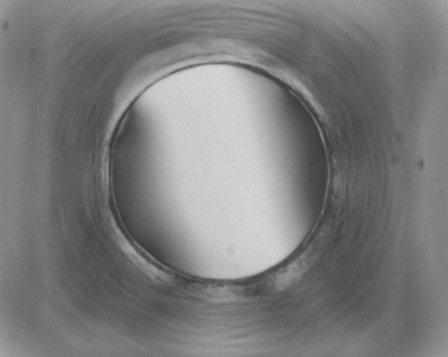 X0000081461516200701261925
