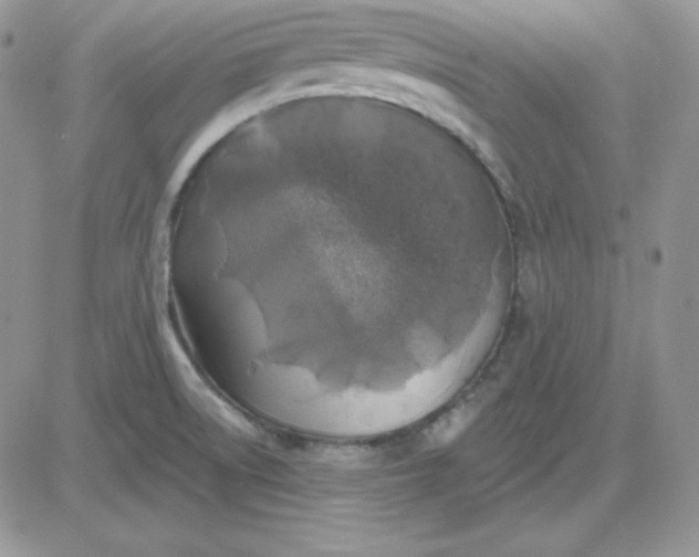 X0000081461522200701261925