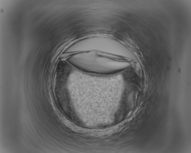 X0000081460001200702021819
