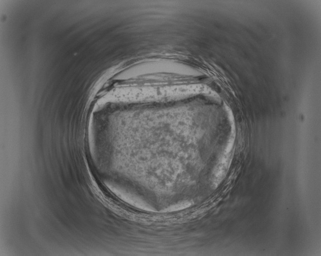 X0000081460003200702021819