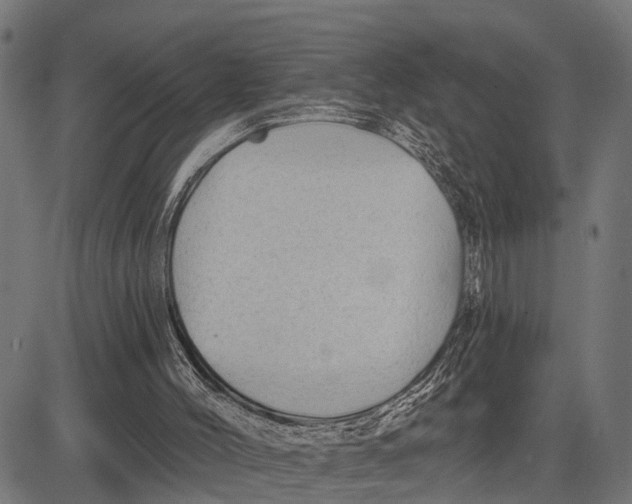 X0000081460004200702021819