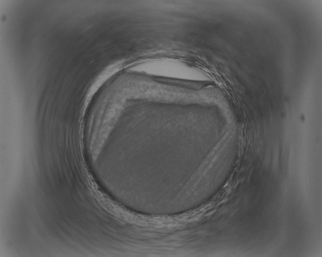 X0000081460006200702021819