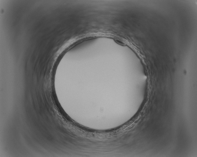 X0000081460008200702021819