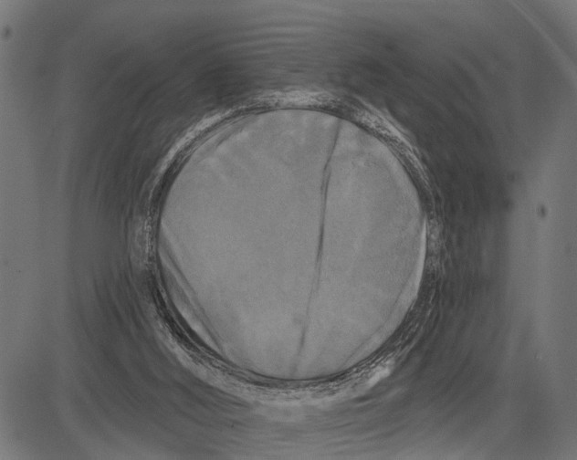 X0000081460012200702021819