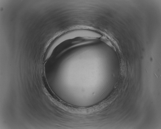 X0000081460015200702021819