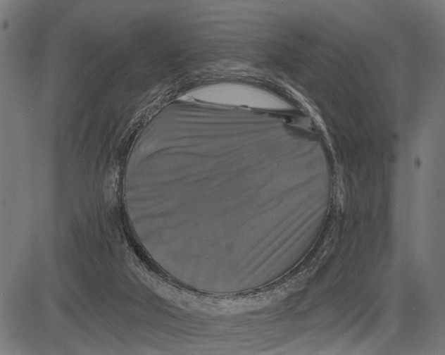 X0000081460018200702021819