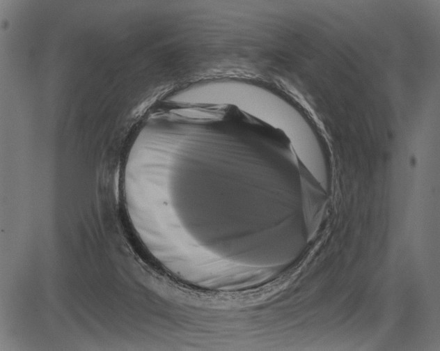 X0000081460019200702021819