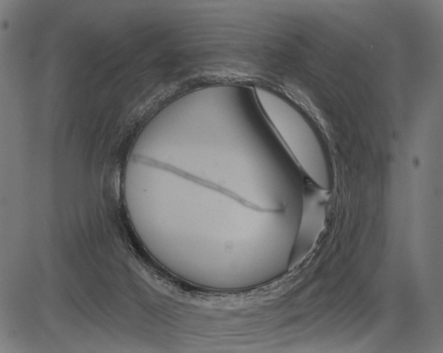 X0000081460021200702021819